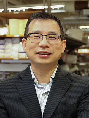 Photo of Jianguo Mei